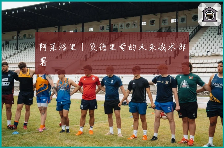 阿莱格里丨莫德里奇的未来战术部署