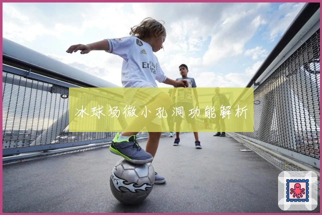 冰球场微小孔洞功能解析